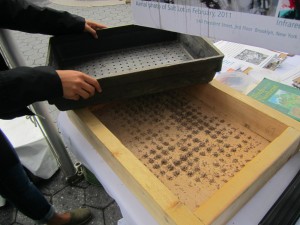 Seed Cleaning Tray_1