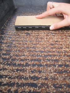Seed Cleaning Tray_2