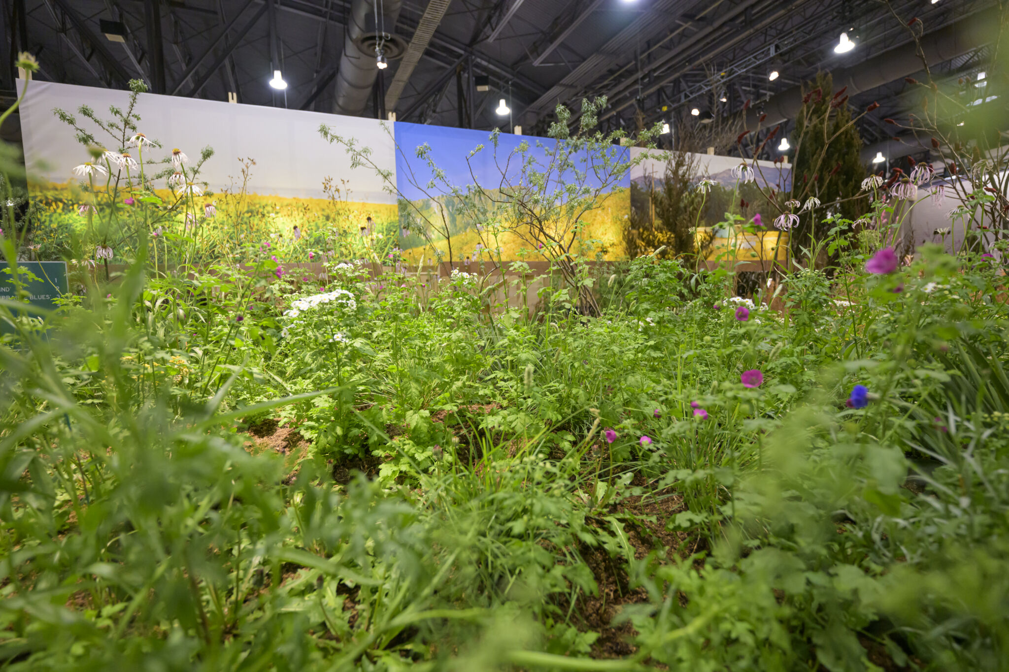 ApiaryFlowershow-105.jpg