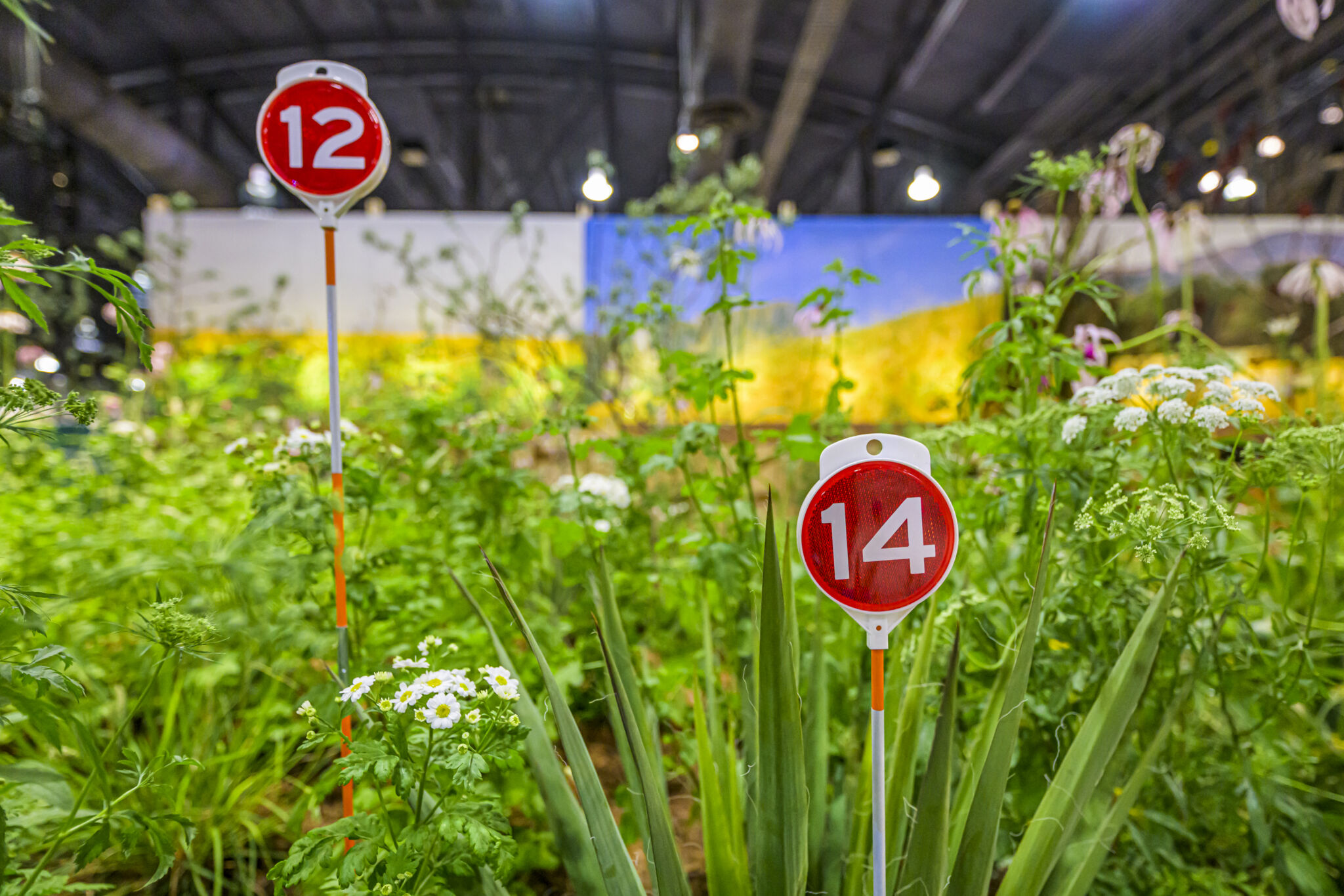 ApiaryFlowershow-107.jpg