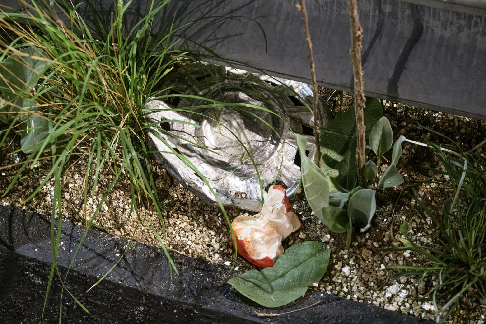 ApiaryFlowershow-143.jpg