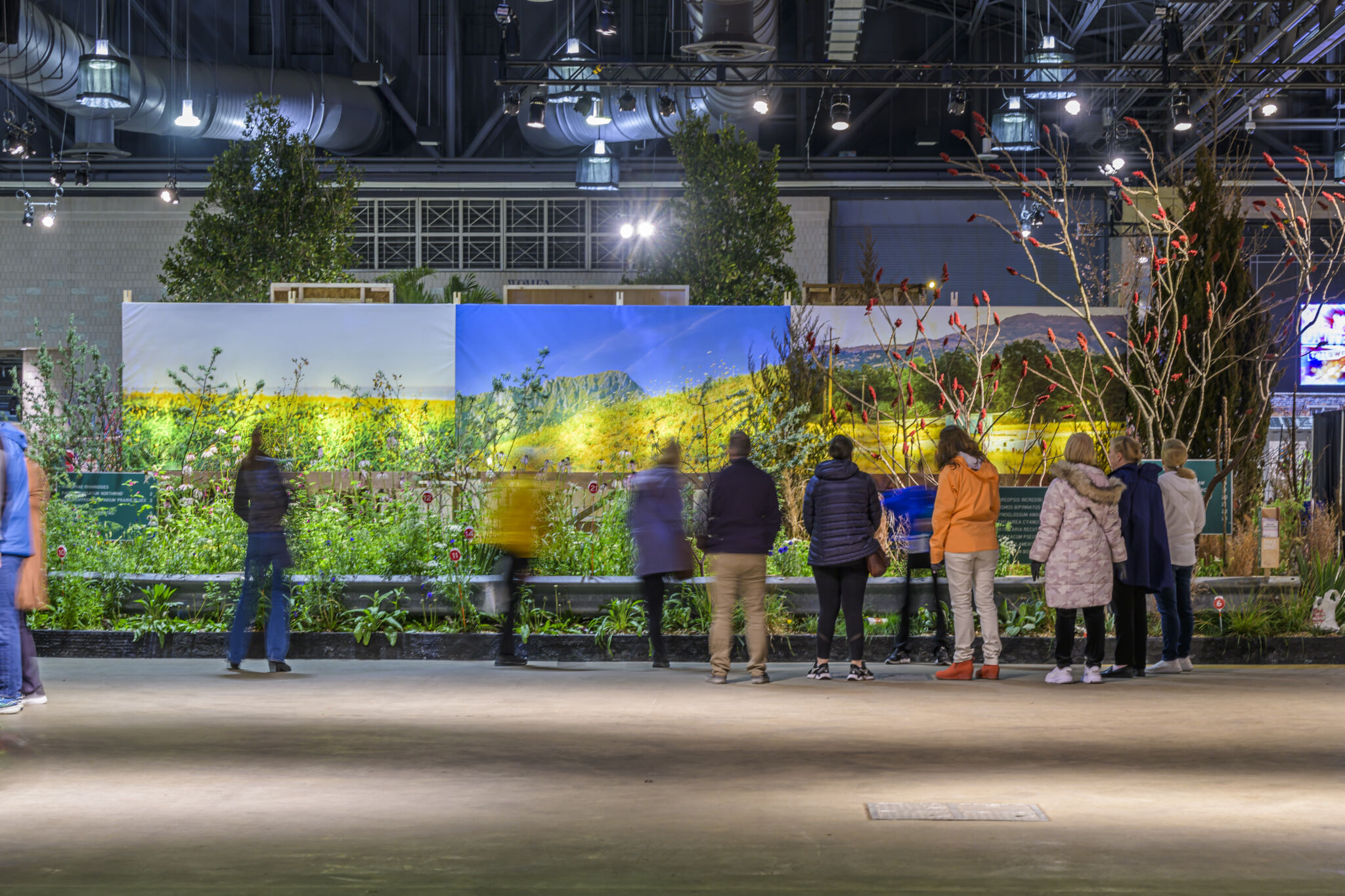 ApiaryFlowershow-281.jpg