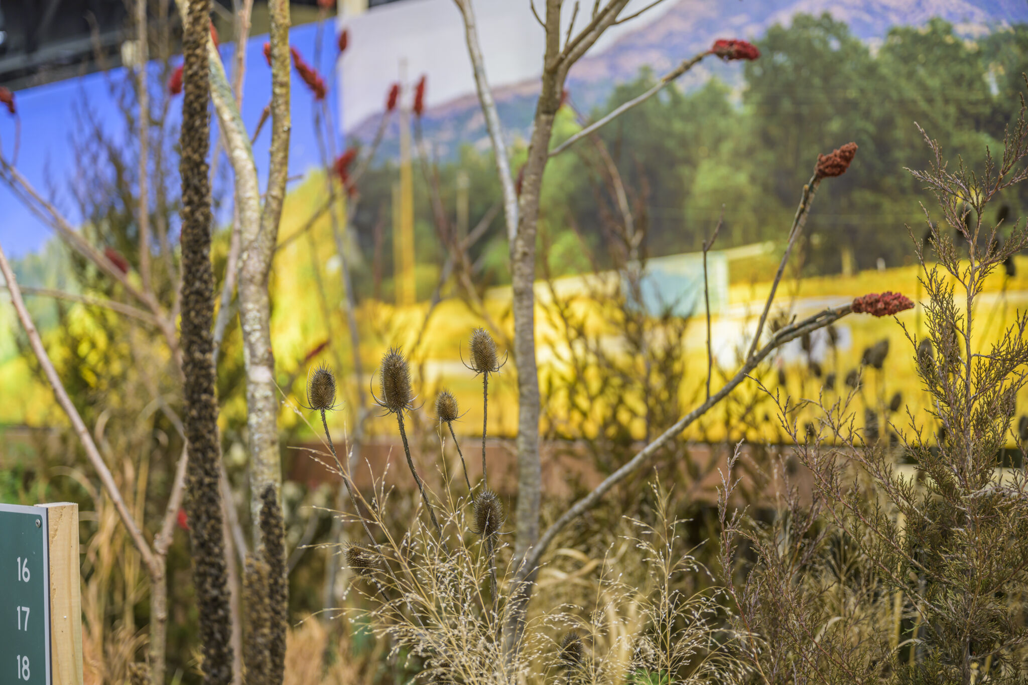 ApiaryFlowershow-66.jpg
