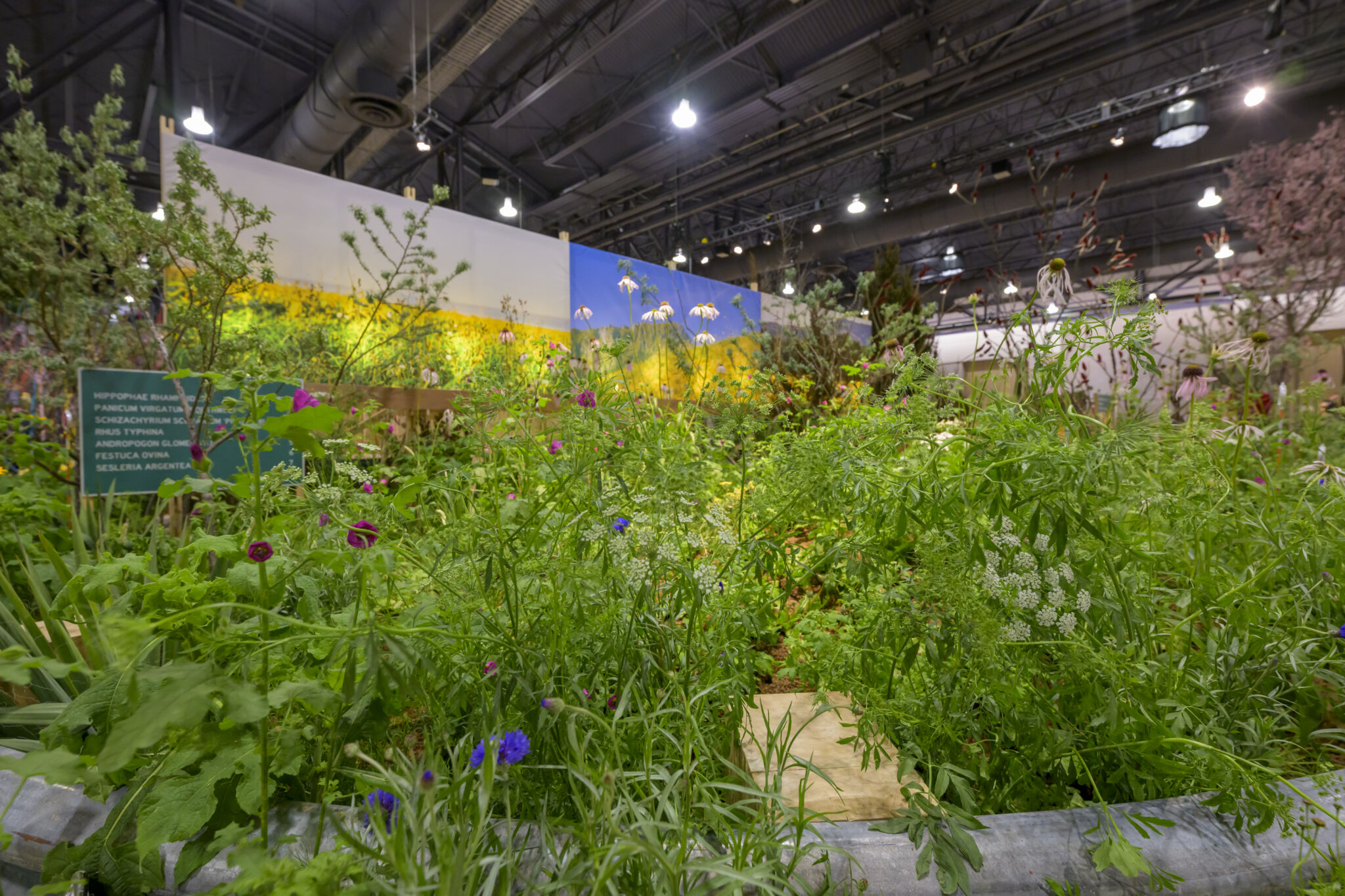 ApiaryFlowershow-93.jpg